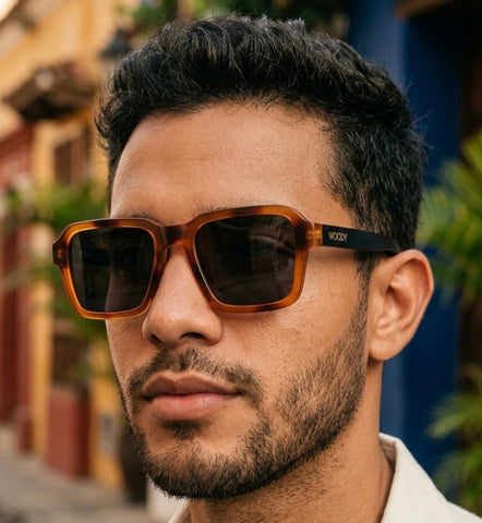 DREAM ON - BLACK TRANSLUCENT // Gafas de Sol