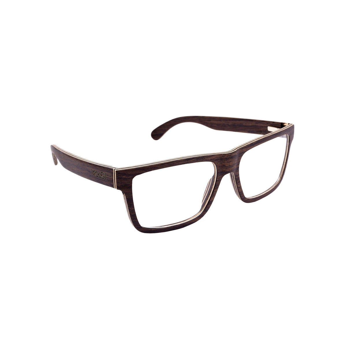 WHIPLASH - DARK // Gafas para Fórmula